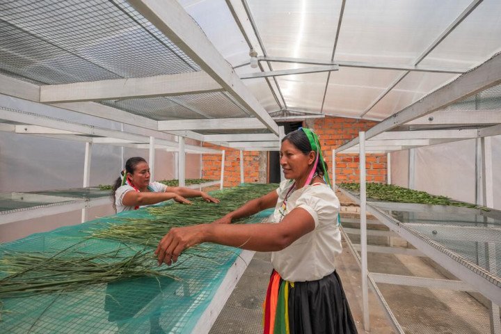 الدورة الثلاثون لمؤتمر الأطراف: الاستثمار في التكيف مع المناخ ضرورة اقتصادية مُلحّة ومقنعة المناخ