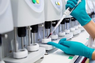 Novo’s CagriSema was associated with 25% weight loss on average for women in a post hoc analysis of REDEFINE 1 presented at The Menopause Society Annual Meeting